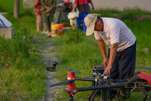 撒药、除草、灭虫……六旬老人田间玩转无人机