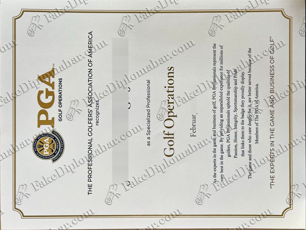 Diploma Certificate 群主微信二维码